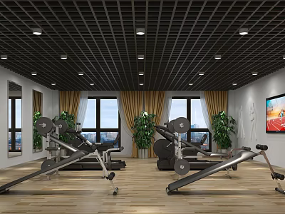 Modern Fitness Gym Interior With Workout Equipment Mirrors Wooden Flooring Large Windows And Green Plants 3d model