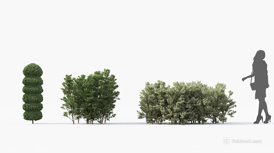 Different Types Of Green Shrubs For Garden Landscape Design And Decoration 3d model 