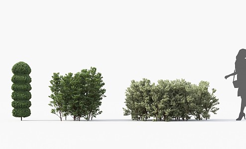 Modern Shrub Trees 3d model