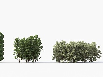 Modern Shrub Trees 3d model