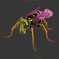 Detailed Yellow Black Flying Insect 3D Model With Transparent Wings Long Legs And Segmented Body