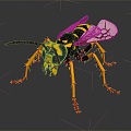 Modern Bee Ma Feng Wasp 3d model