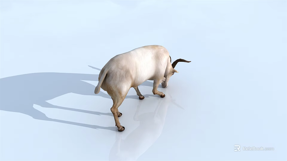 White Reptile Lizard Moving On Smooth Light Colored Surface With Shadow 3d model 