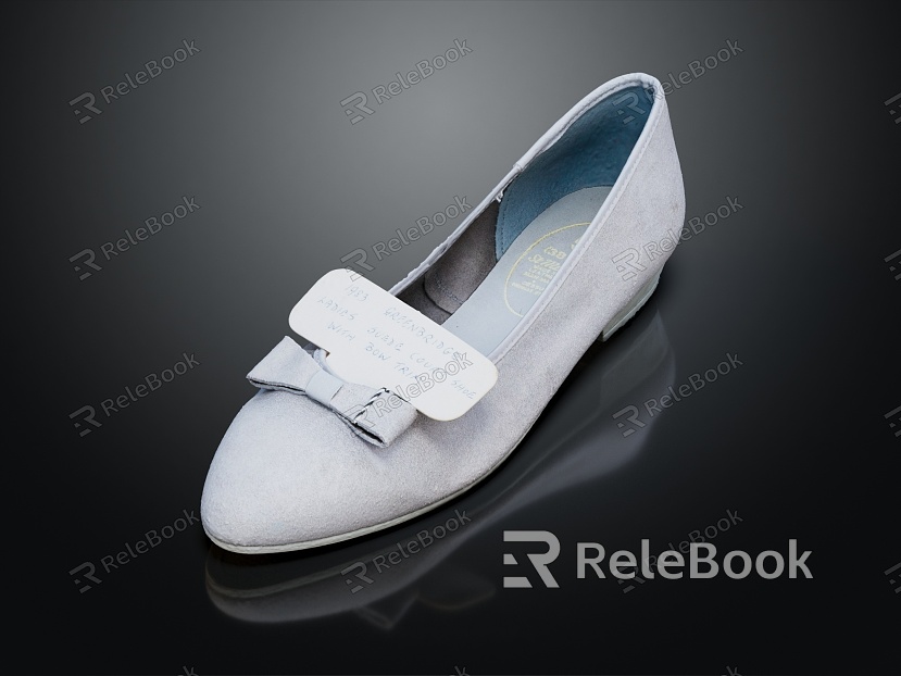 Modern Shoes Women's Shoes Leather Shoes model