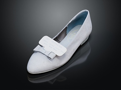 Modern Shoes Women's Shoes Leather Shoes 3d model