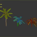 Three Green Tropical Plants With Broad Leaves And Reflections On Gray Background