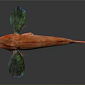 Red Fish With Vibrant Red Body And Green Blue Fins On Dark Background With Reflection