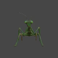 Realistic Green Praying Mantis 3D Model With Detailed Body Structure