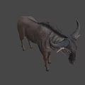 Realistic 3D Antelope Model With Grey Body Horns And Standing In Dark Background