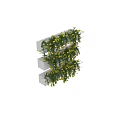 Lush Bonsai Potted Plant With Vibrant Yellow Flowers And Green Vines Against Black Background
