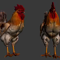 Two Muscular Roosters With Red Combs Yellow Legs And Feather Features