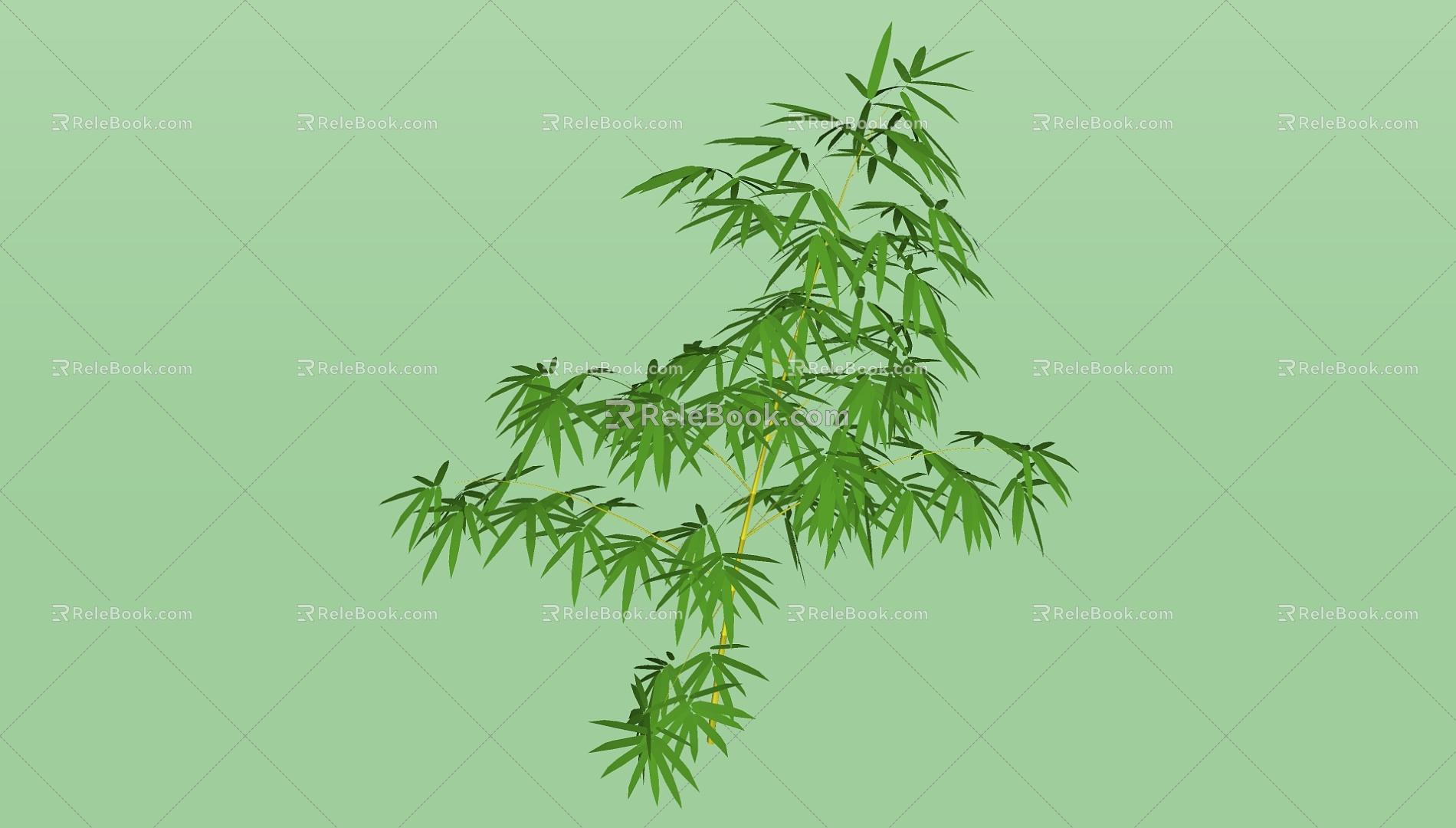 Bamboo 3d model