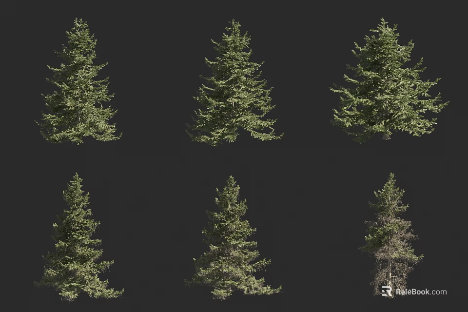 Six Different Arbor Trees Display Various Growth Forms Isolated On Black Background 3d model 