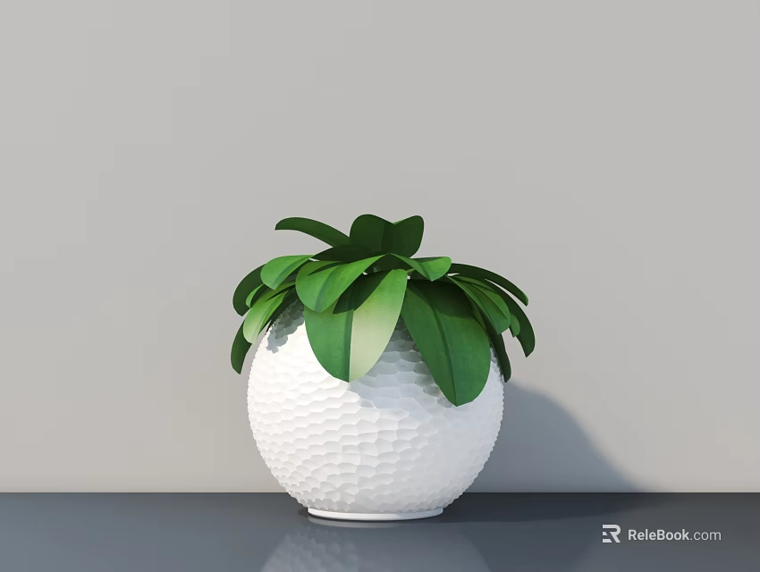 Bonsai Potted Plant With Green Leaves In White Spherical Textured Pot On Gray Surface 3d model 