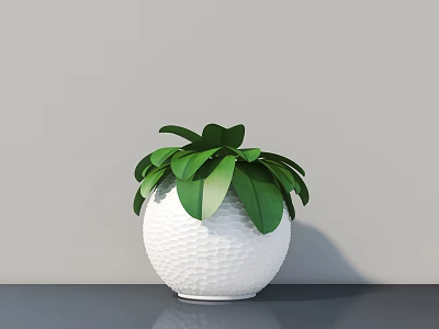 Bonsai Potted Plant With Green Leaves In White Spherical Textured Pot On Gray Surface 3d model