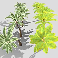 Green and Yellow Leafy Palm and Banana Trees with Light Colored Trunks in Gray Background