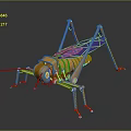 grasshopper insect cartoon locust animation locust anime locust anime game character 3d model
