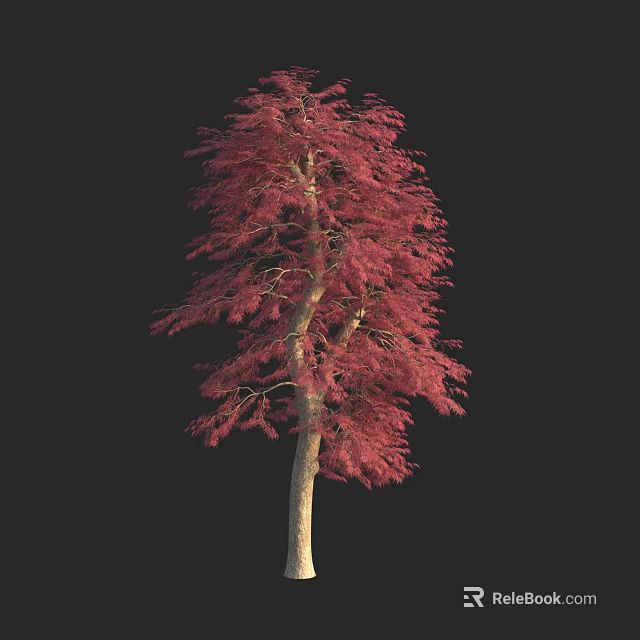 Tall Arbor With Vibrant Red Leaves And Light Colored Trunk Against Black Backdrop 3d model 