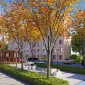 Scenic Residential Landscape With Green Trees Wooden Benches And Colorful Pathway By Buildings