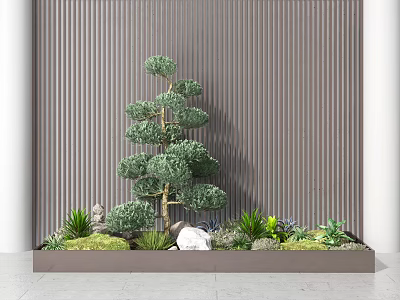 Modern Plant Arrangement with Styled Pine Small Green Plants Stones in Rectangular Planter Vertical Striped Wall 3d model