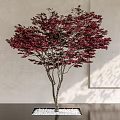 Modern Maple Tree Landscape Tree Maple Leaf 3d model