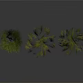 Different Types of Green Grass Plants Growing in Natural Clumps on White Background