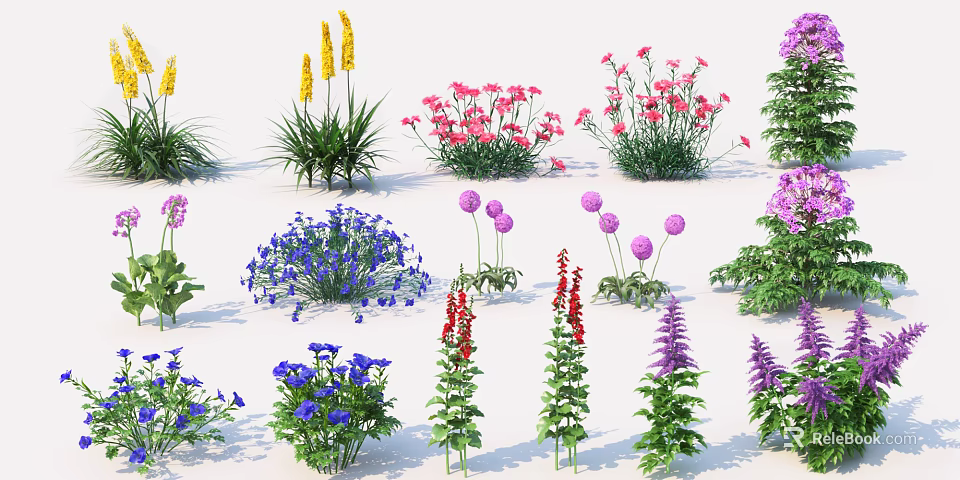Assorted Blooming Garden Flowers And Herbs With Diverse Colors And Varieties 3d model 