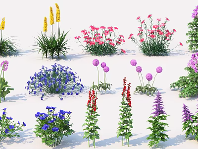 Assorted Blooming Garden Flowers And Herbs With Diverse Colors And Varieties 3d model