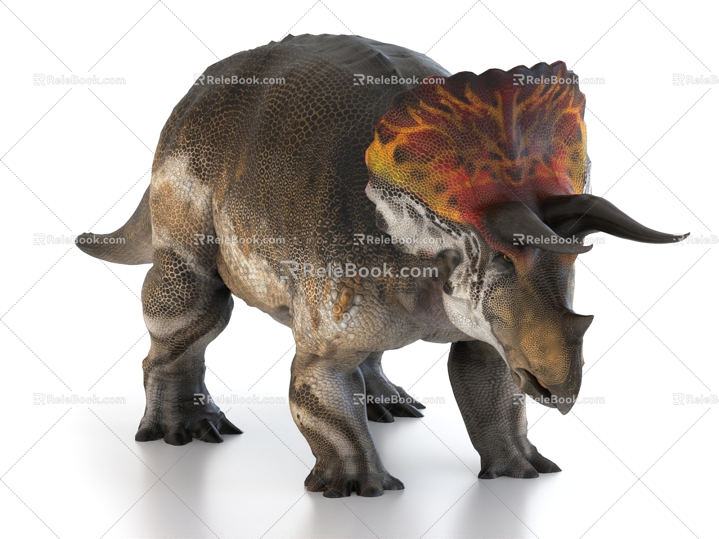 Triceratops dinosaur 3d model