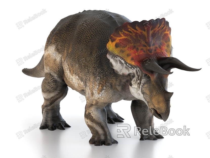 Triceratops dinosaur model