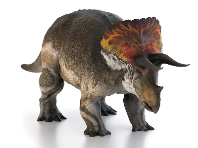 Realistic Triceratops Dinosaur Model With Colorful Frill Horns And Detailed Skin Texture 3d model