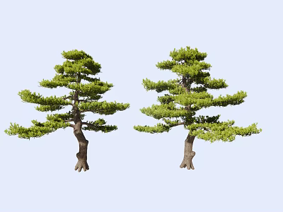 Two Elegant Arbor Trees With Lush Green Foliage And Curved Trunks 3d model