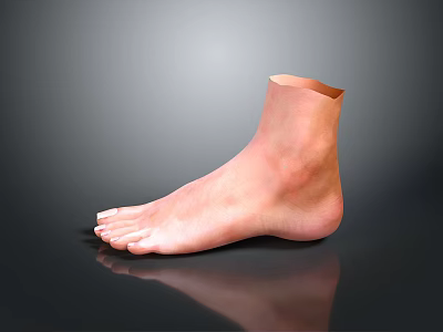 Realistic 3D Anatomical Model of Human Foot Organ Featuring Hair Details 3d model