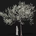 Flowering Arbor Adorned with Abundant White Blossoms and Standing Statue Detailed Close Up