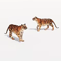 Two Realistic Tiger Models Standing On White Background With Detailed Stripes 3d model