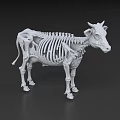 Detailed Cow Skeleton 3D Model With Anatomical Structure And White Design 3d model