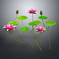 3D Rendered Pink Lotus Flowers With Green Leaves And Stems