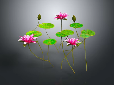 3D Rendered Pink Lotus Flowers With Green Leaves And Stems 3d model