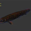 Long Body Brown And Red Spotted Fish With Red Fins On Gray Background