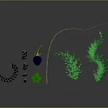 Green Spiral Plants With Yellow Stems And Spherical Structures On Dark Reflective Background