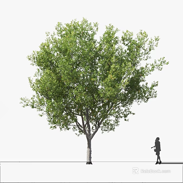 Lush Green Arbor With Dense Canopy And Person Walking Nearby 3d model 