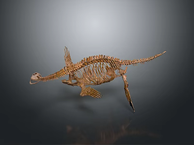 Dinosaur Organ System And Hair Structure In Prehistoric Fossil Model 3d model