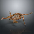 Dinosaur Organ System And Hair Structure In Prehistoric Fossil Model