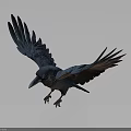 Realistic Blue Bird with Spread Wings and Detailed Feathers Flying in Dark Background