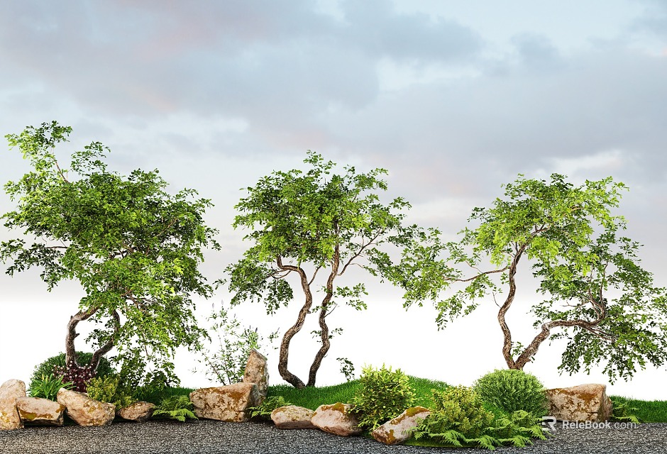Three Arbor Trees With Curved Trunks Lush Green Leaves Stones Grass And Low Plants 3d model 