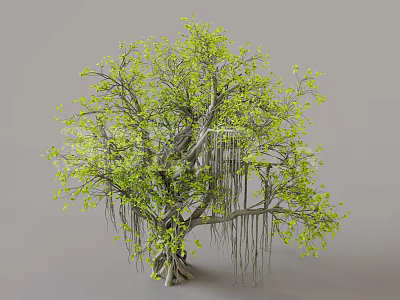 Lush Green Arbor with Thick Trunk and Spreading Branches in Natural Environment 3d model
