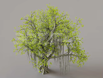 Willow Trees Green Leaves Big Trees Weeping Willows 3d model