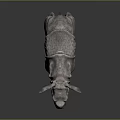Realistic 3D Baby Rhinoceros Model With Gray Wrinkled Skin Small Horn And Smooth Surface