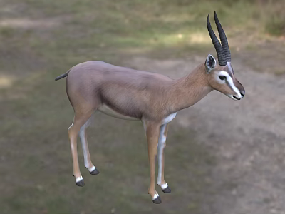 Horned Reptile Lizard Standing In Natural Grassland Habitat With Sunlight 3d model Horned Reptile Lizard Standing In Natural Grassland Habitat With Sunlight 3d model