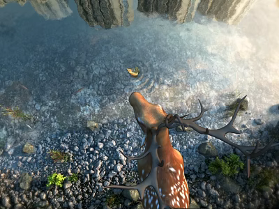 Modern Sika Deer Ecological Wetland Park Sika Deer 3d model